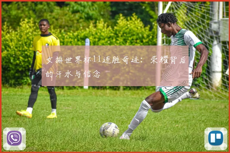 女排世界杯11连胜奇迹：荣耀背后的汗水与信念
