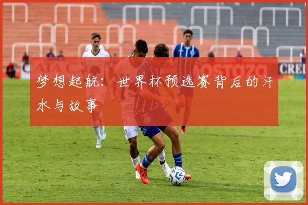 梦想起航：世界杯预选赛背后的汗水与故事