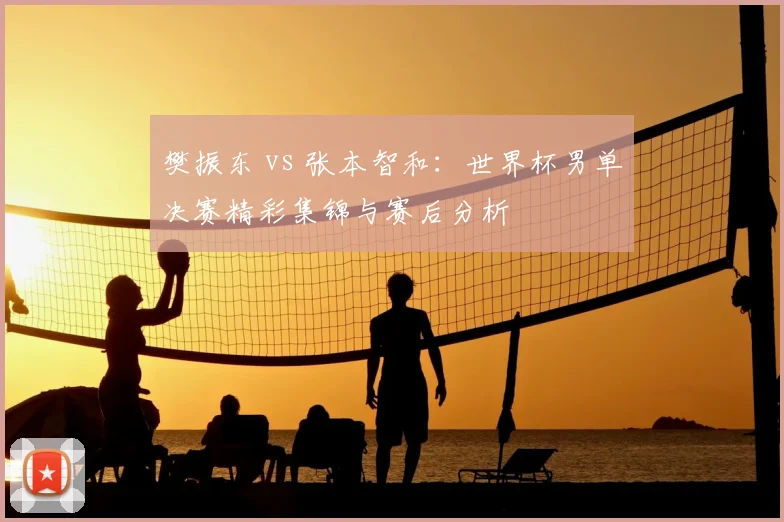 樊振东 vs 张本智和：世界杯男单决赛精彩集锦与赛后分析