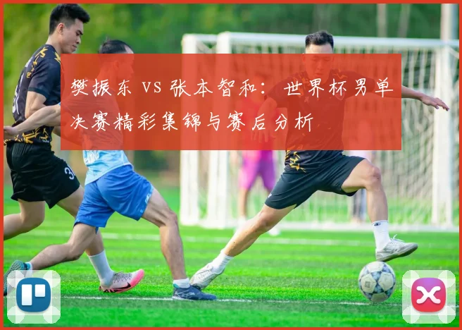 樊振东 vs 张本智和：世界杯男单决赛精彩集锦与赛后分析