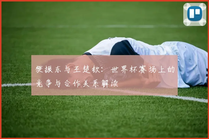 樊振东与王楚钦：世界杯赛场上的竞争与合作关系解读