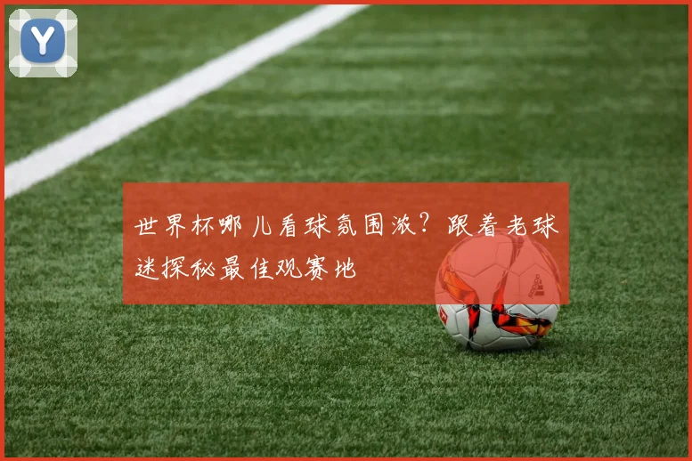 世界杯哪儿看球氛围浓?跟着老球迷探秘最佳观赛地