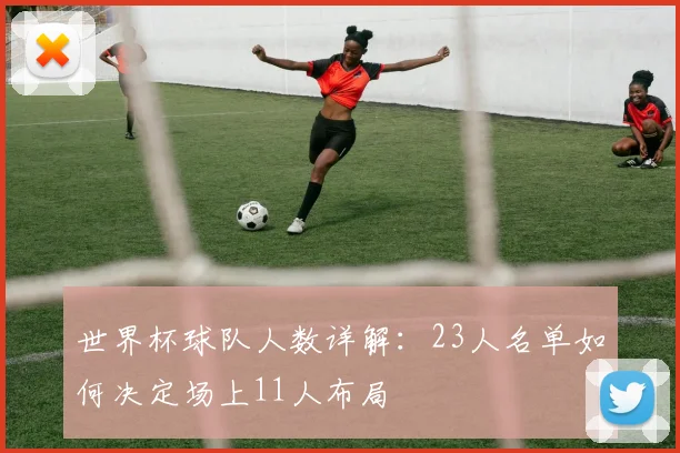 世界杯球队人数详解：23人名单如何决定场上11人布局