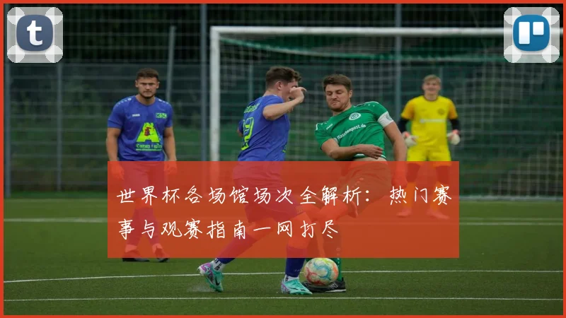 世界杯各场馆场次全解析：热门赛事与观赛指南一网打尽